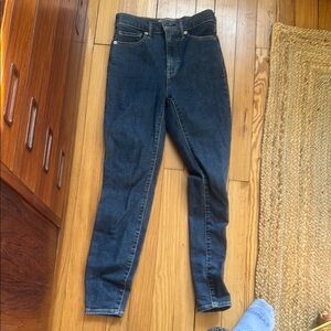 Everlane Blue Skinny Jeans with High-Waisted Fit